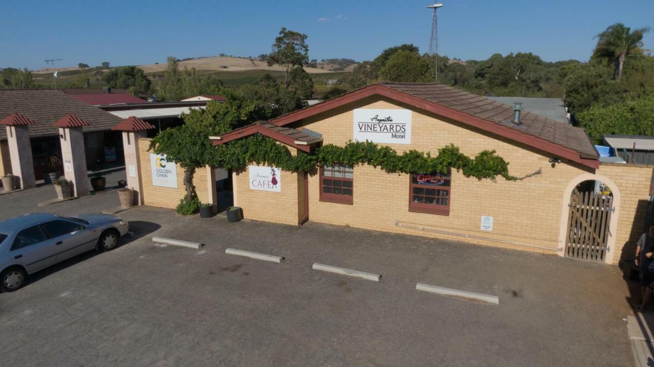 Angaston Vineyards Motel Exteriér fotografie