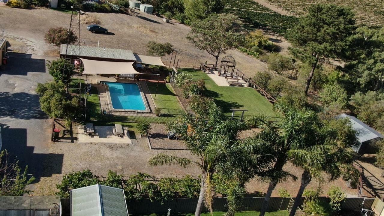 Angaston Vineyards Motel Exteriér fotografie