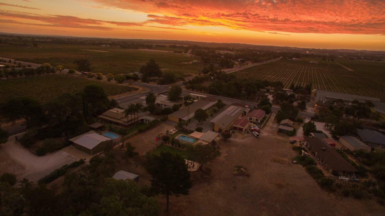 Angaston Vineyards Motel Exteriér fotografie
