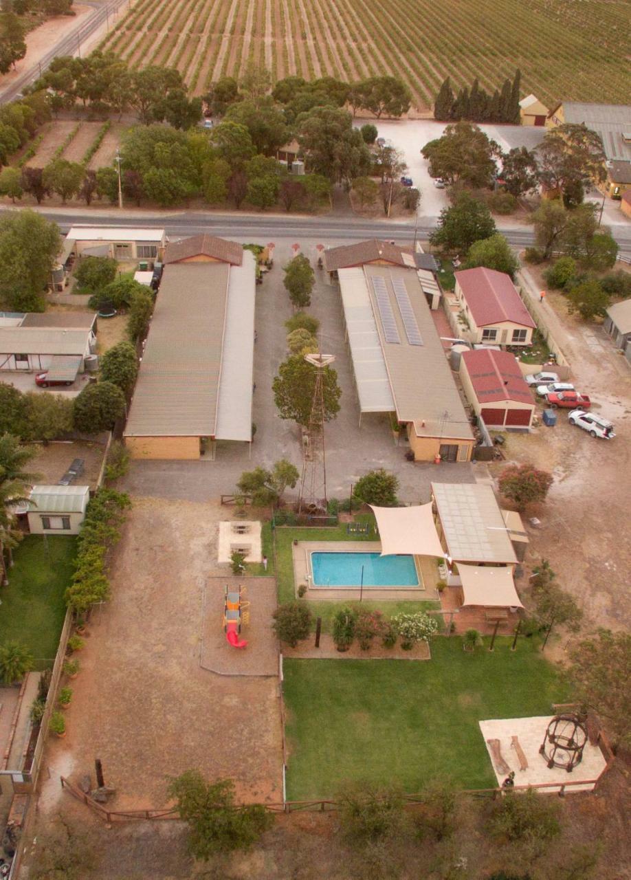 Angaston Vineyards Motel Exteriér fotografie